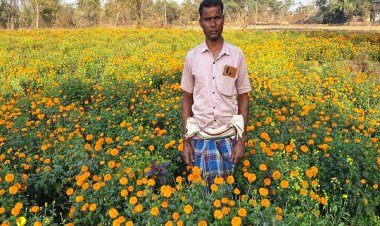 धान से गेंदा फूल तक का सफर- बरगांव के देवानंद निषाद ने एक एकड़ में कमाए ढाई लाख