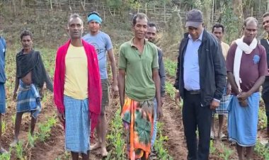 मटर की खेती से मिली नई दिशा