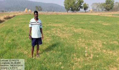 कम लागत में ज्यादा मुनाफा: रबी में गेहूं की खेती से किसानों की बढ़ी आमदनी