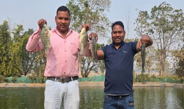 बायोफ्लॉक तकनीक से समृद्ध हो रहे किसान कैलाश पैकरा