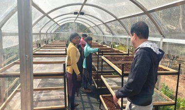 जशपुर में DST प्रायोजित परियोजना के तहत सोलर टनल ड्रायर की स्थापना