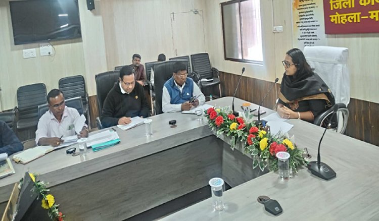 शासन की महत्वपूर्ण योजना, कार्य में लाए प्रगति: कलेक्टर श्रीमती प्रजापति