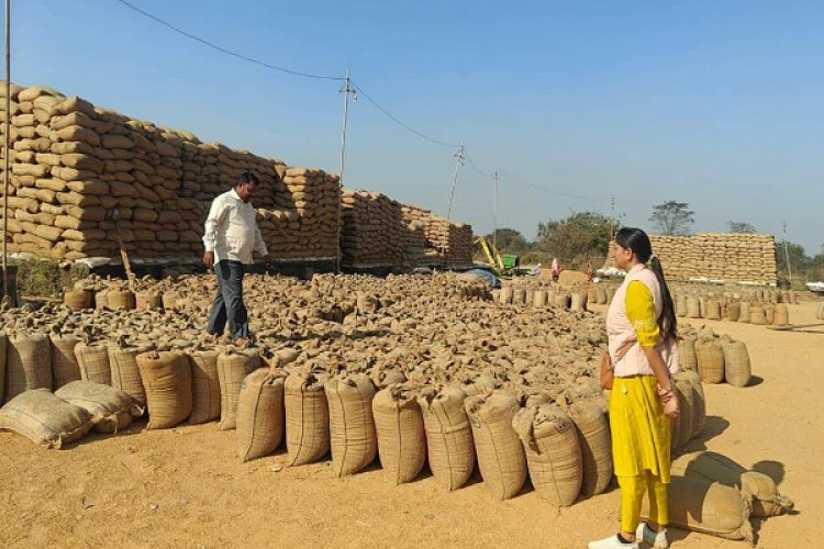 रायगढ़ जिले में 4.18 लाख टन से अधिक धान उपार्जित