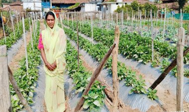 बिहान योजना से आत्मनिर्भर बनी ग्राम झलमला की जानकी धुर्वे