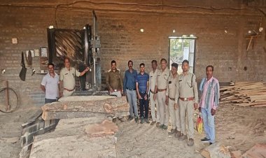 सक्ती वन परिक्षेत्र में अवैध लकड़ी भंडारण पर बड़ी कार्रवाई