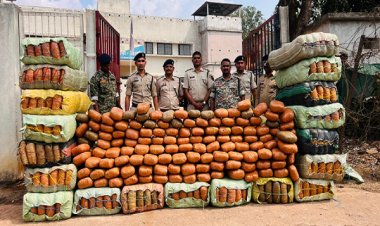 कबीरधाम पुलिस की बड़ी कार्रवाई करीब 5 करोड़ का गांजा जब्त, कंटेनर भी जब्त, कुल 9 क्विंटल से ज्यादा मादक पदार्थ पकड़ा गया