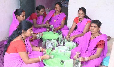 इस बार प्राकृतिक रंगों से रंगीन होगी होली : स्व सहायता समूह की महिलाएं कर रही है प्राकृतिक गुलाल का निर्माण
