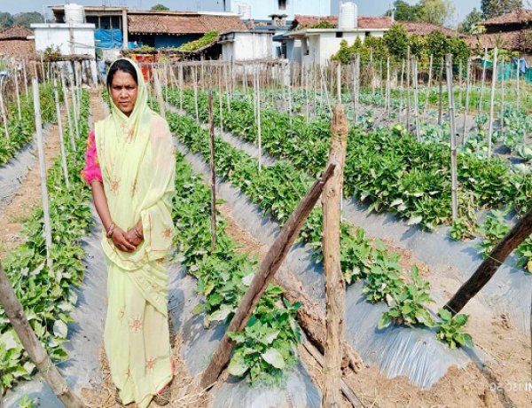 बिहान योजना से आत्मनिर्भर बनी ग्राम झलमला की जानकी धुर्वे