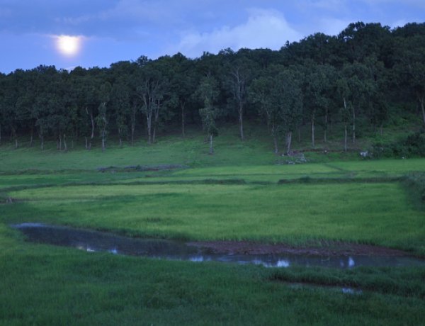 प्रकृति, संस्कृति और मनोरंजन का त्रिवेणी संगम : 13 फरवरी से सजेगा तीन दिवसीय ’मैनपाट महोत्सव’ का भव्य मंच