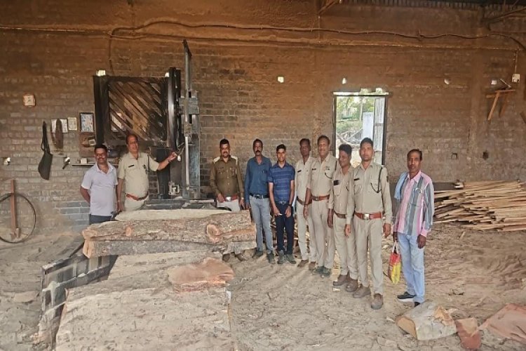 सक्ती वन परिक्षेत्र में अवैध लकड़ी भंडारण पर बड़ी कार्रवाई