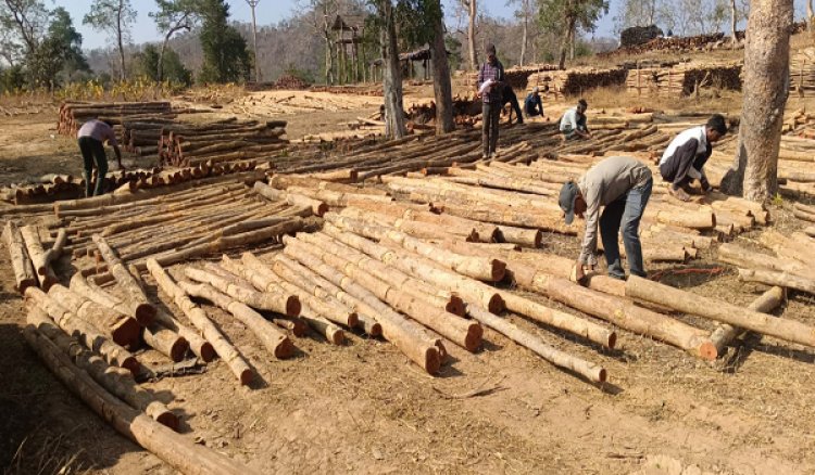 वन विकास निगम में ‘डिजिटल क्रांति‘ और ‘रोजगार संगम‘ का सफल मॉडल