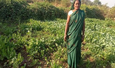 मुख्यमंत्री श्री विष्णु देव साय के सुशासन में महिलाओं को मिला आत्मनिर्भरता का संबल, बालोद की रोहनी बनीं उद्यमिता की मिसाल