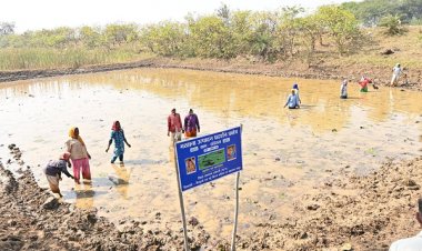 अंतर्राष्ट्रीय महिला दिवस पर विशेष लेख : अंतर्राष्ट्रीय महिला दिवस: स्व-सहायता समूहों के माध्यम से आत्मनिर्भर बन रहीं धमतरी जिले की महिलाएं
