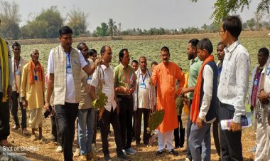 मध्यप्रदेश के किसानों का ग्राम लिंगाडीह आरंग में मखाना खेती भ्रमण एवं प्रशिक्षण संपन्न