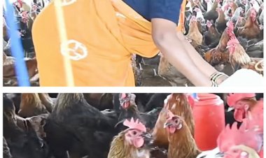 आजीविका मिशन से बदली तस्वीर: चर्रा की योगेश्वरी देवांगन बनीं महिला सशक्तिकरण की प्रेरणा