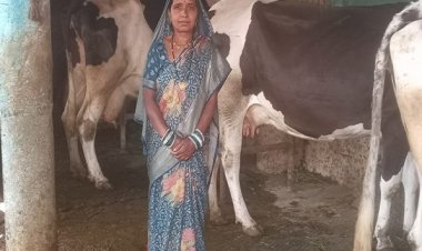 स्व-सहायता समूह से बदली जिंदगी, डेयरी और खेती से ‘लखपति दीदी’ बनीं माधुरी जंघेल