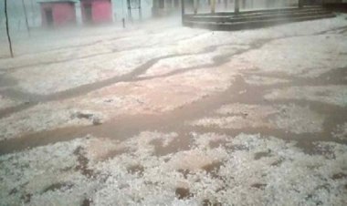 छत्तीसगढ़ में बदला मौसम, बारिश-ओलावृष्टि से फसलों को नुकसान; बिजली गिरने से युवक झुलसा