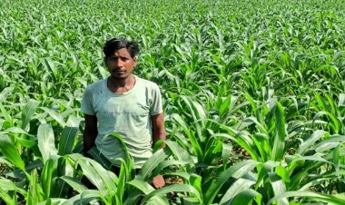 धान के बजाय मक्का से बढ़ा मुनाफा : किसान मालती मोहन बने उन्नत खेती की मिसाल