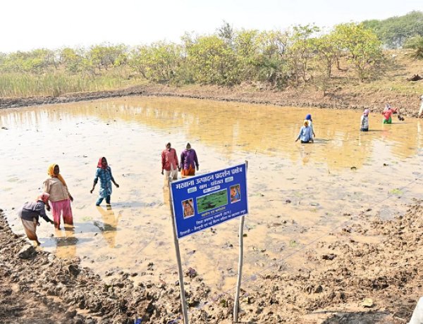 अंतर्राष्ट्रीय महिला दिवस पर विशेष लेख : अंतर्राष्ट्रीय महिला दिवस: स्व-सहायता समूहों के माध्यम से आत्मनिर्भर बन रहीं धमतरी जिले की महिलाएं