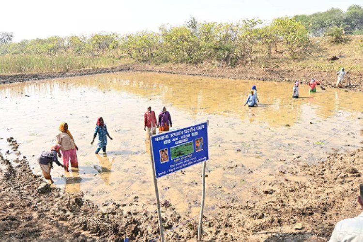 अंतर्राष्ट्रीय महिला दिवस पर विशेष लेख : अंतर्राष्ट्रीय महिला दिवस: स्व-सहायता समूहों के माध्यम से आत्मनिर्भर बन रहीं धमतरी जिले की महिलाएं