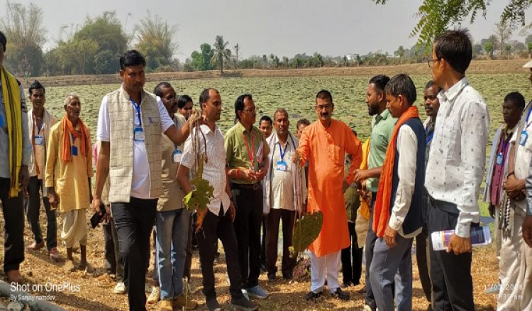मध्यप्रदेश के किसानों का ग्राम लिंगाडीह आरंग में मखाना खेती भ्रमण एवं प्रशिक्षण संपन्न
