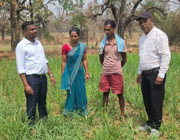 मिलेट्स की खेती से बढ़ रही किसानों की आय