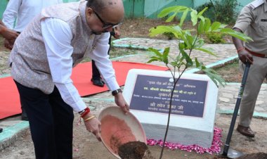 राज्यपाल श्री रमेन डेका ने जशपुर के मातृत्व वन में किया सीता अशोक के पौधे का रोपण