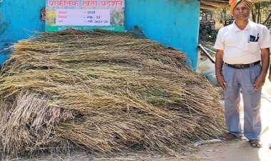 प्राकृतिक खेती से किसानों की बढ़ती आय