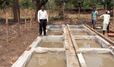 शासकीय फार्म में नील-हरित काई उत्पादन की शुरुआत