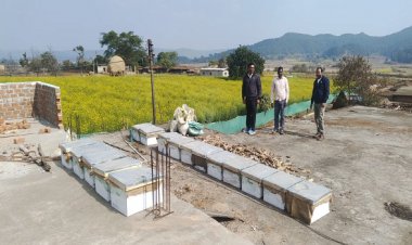 मधुमक्खी पालन: कम लागत में ज्यादा मुनाफे का बेहतर विकल्प