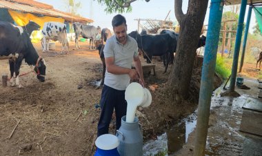 सरगुजा के राजनाथ यादव बने आधुनिक पशुपालन से आत्मनिर्भरता की मिसाल