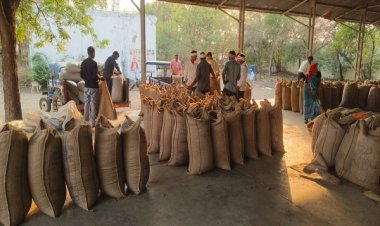 पीएम आशा अंतर्गत दलहन-तिलहन फसलों के उपार्जन हेतु पंजीयन 20 अप्रैल तक