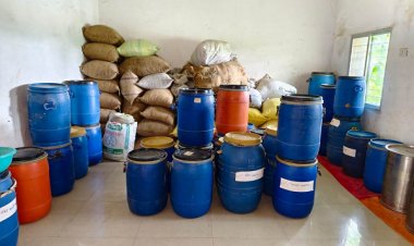 हर्रा वनौषधि प्रसंस्करण से आत्मनिर्भर बनीं महिलाएं