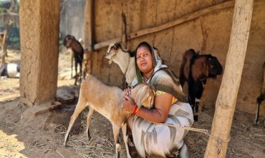 बिहान योजना से बदली जिंदगी: बकरी पालन से इंद्रनिया बाई बनीं ‘लखपति दीदी’