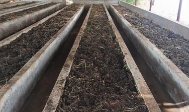 वर्मी कंपोस्ट उत्पादन बनी आत्मनिर्भरता की मिसाल