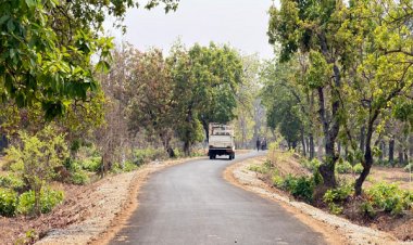 पोलमपल्ली से अरलमपल्ली सड़क बनने से खुश है ग्रामीण