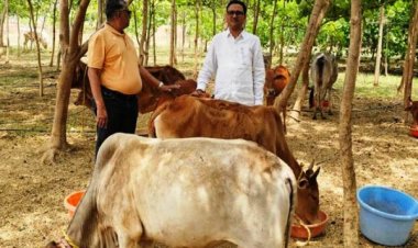 विश्व पृथ्वी दिवस : मनोहर गौशाला ने तालाब-जंगल बनाकर दी धरती संरक्षण की मिसाल