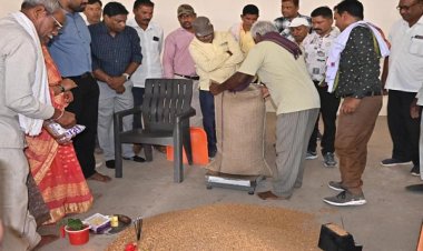 धमतरी में समर्थन मूल्य चना खरीदी ने पकड़ी रफ्तार