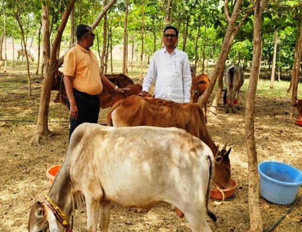 विश्व पृथ्वी दिवस : मनोहर गौशाला ने तालाब-जंगल बनाकर दी धरती संरक्षण की मिसाल