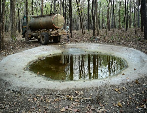 भीषण गर्मी में वन्यजीवों के लिए 'संजीवनी' बना बारनवापारा