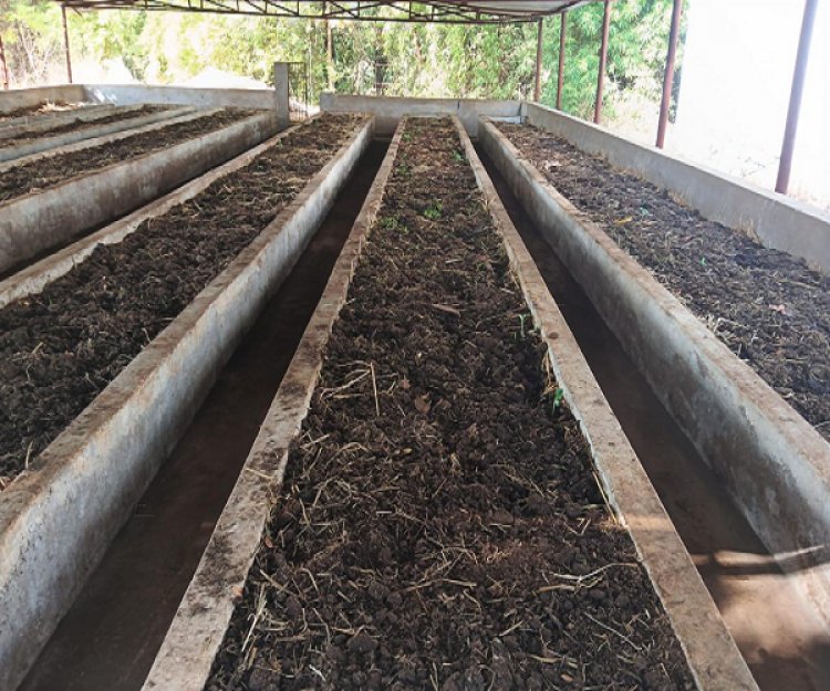 वर्मी कंपोस्ट उत्पादन बनी आत्मनिर्भरता की मिसाल