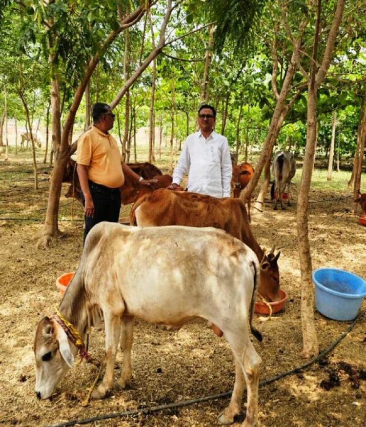 विश्व पृथ्वी दिवस : मनोहर गौशाला ने तालाब-जंगल बनाकर दी धरती संरक्षण की मिसाल