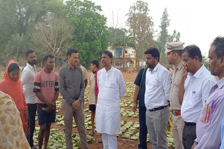 वन मंत्री श्री केदार कश्यप ने दहिकोंगा तेंदूपत्ता फड़ का किया निरीक्षण