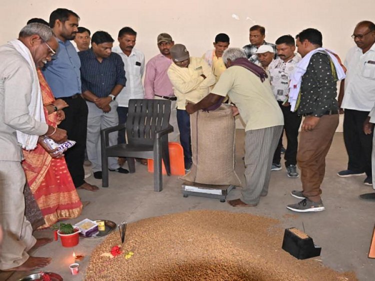 धमतरी में समर्थन मूल्य चना खरीदी ने पकड़ी रफ्तार