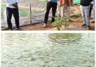 मत्स्य संपदा योजना से पुरुषोत्तम के एक्वा हब ने बदली केकराखोली की सूरत