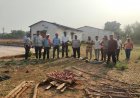 ’जंगली सूअर के मांस की बिक्री पर वन विभाग की बड़ी कार्रवाई, 14 किलो मांस जब्त’