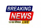  तेन्दूपत्ता संग्रहण में छत्तीसगढ़ ने बनाया नया रिकॉर्ड, अब तक 13.52 लाख मानक बोरा संग्रहित