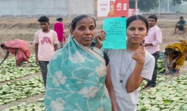 हरा सोना’ बना समृद्धि का आधार : तेंदूपत्ता खरीदी की बढ़ी दर ने संग्राहकों का बढ़ाया उत्साह व भरोसा, हर फड़ पर रौनक