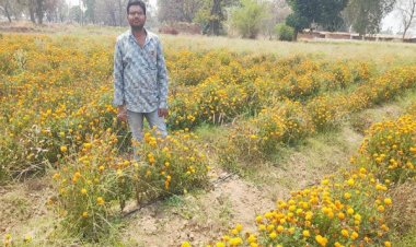 गेंदा की खेती से बढ़ी आय और बनी नई पहचान