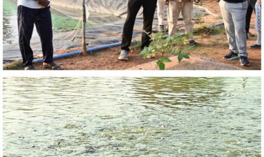 मत्स्य संपदा योजना से पुरुषोत्तम के एक्वा हब ने बदली केकराखोली की सूरत